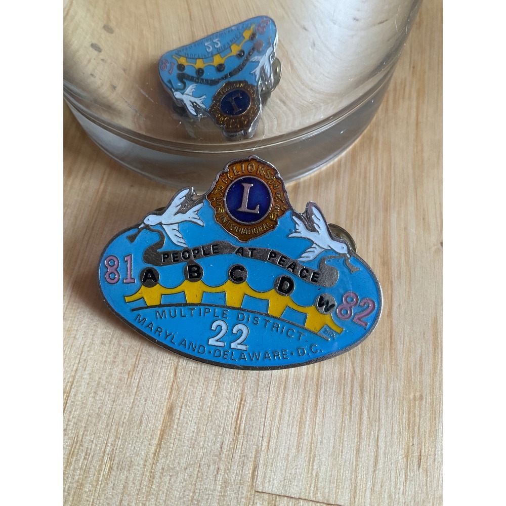Lions Club International District 22 Maryland Delaware DC 1981-1982 Pin Peace